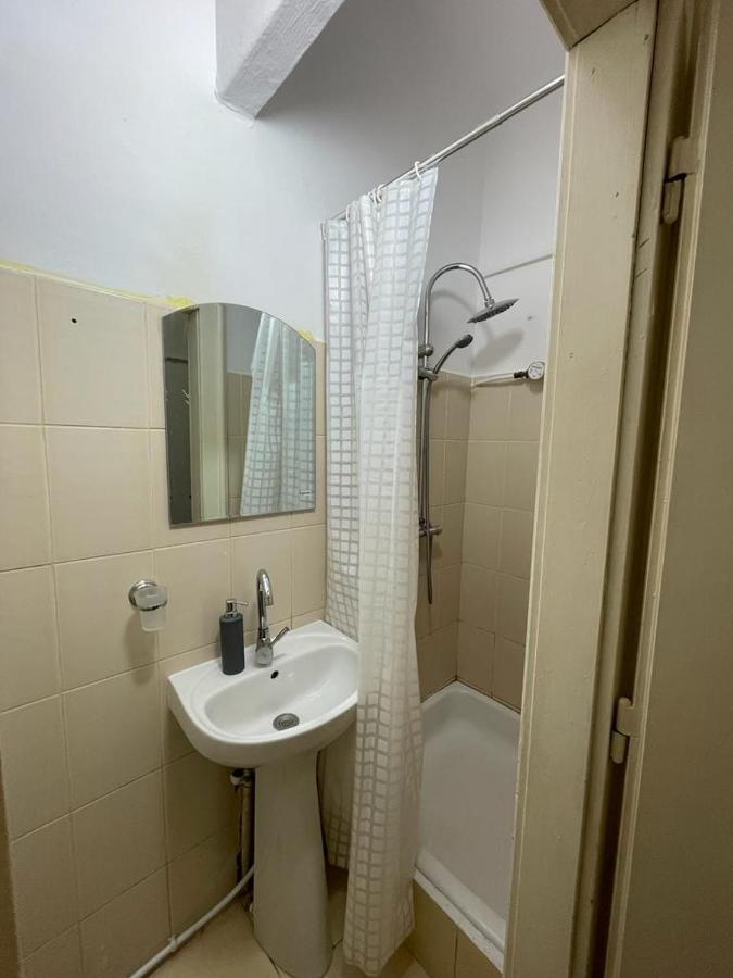 Piata Unirii- 1 Room Studio Apartment 蒂米什瓦拉 外观 照片