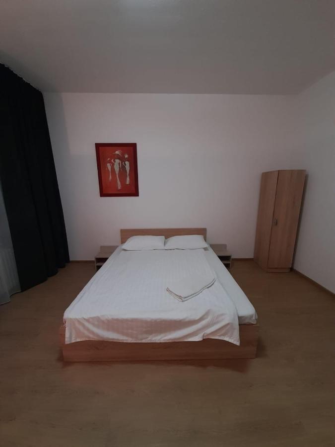 Piata Unirii- 1 Room Studio Apartment 蒂米什瓦拉 外观 照片