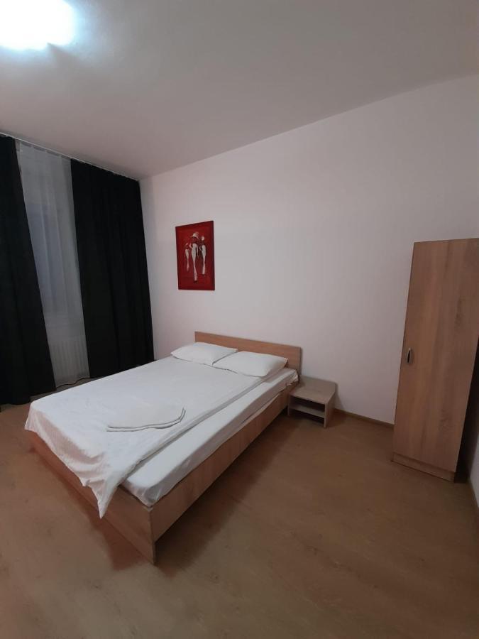 Piata Unirii- 1 Room Studio Apartment 蒂米什瓦拉 外观 照片