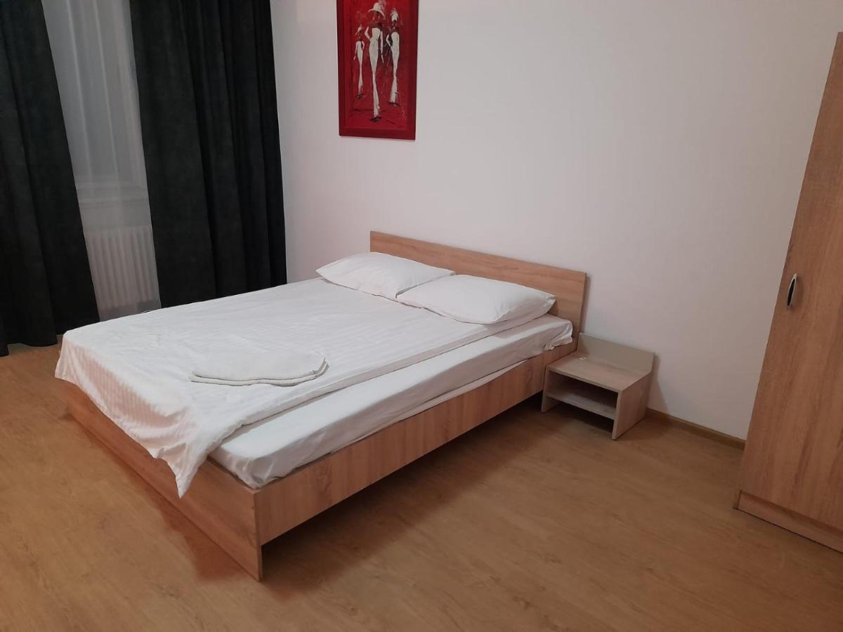 Piata Unirii- 1 Room Studio Apartment 蒂米什瓦拉 外观 照片