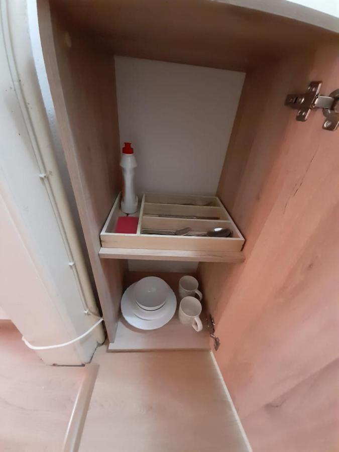 Piata Unirii- 1 Room Studio Apartment 蒂米什瓦拉 外观 照片