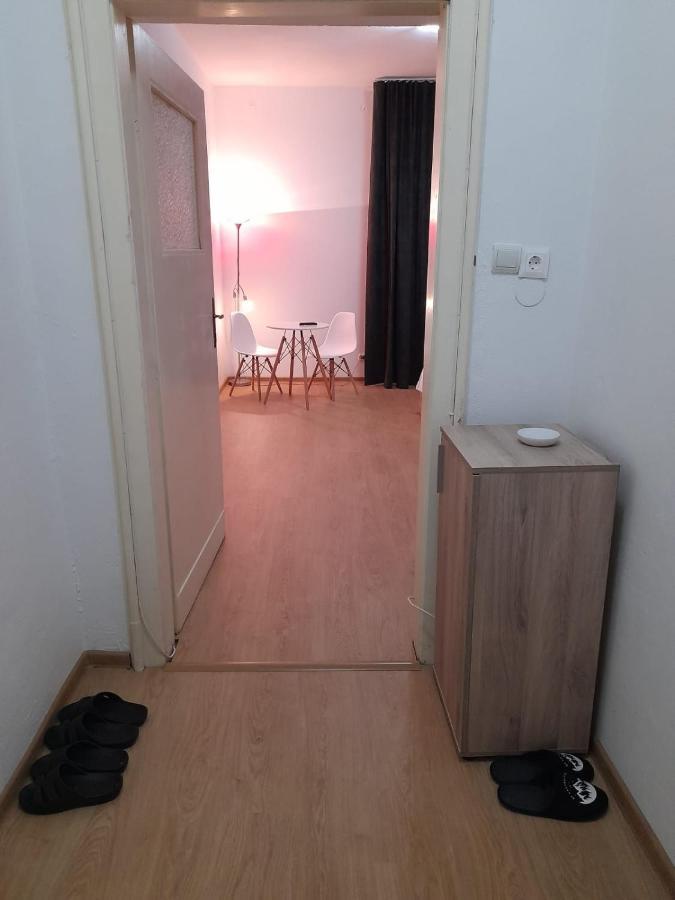 Piata Unirii- 1 Room Studio Apartment 蒂米什瓦拉 外观 照片