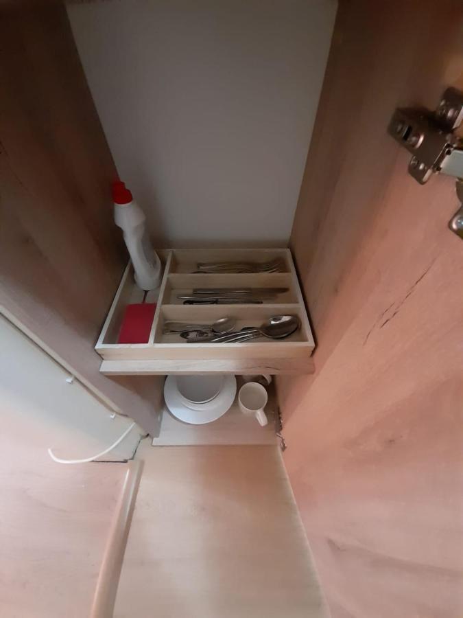 Piata Unirii- 1 Room Studio Apartment 蒂米什瓦拉 外观 照片