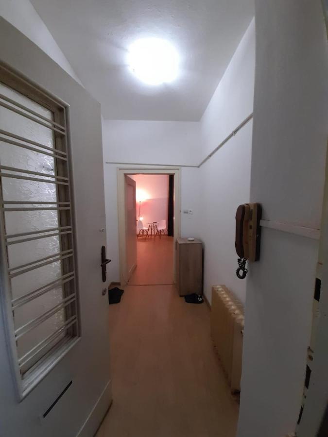 Piata Unirii- 1 Room Studio Apartment 蒂米什瓦拉 外观 照片